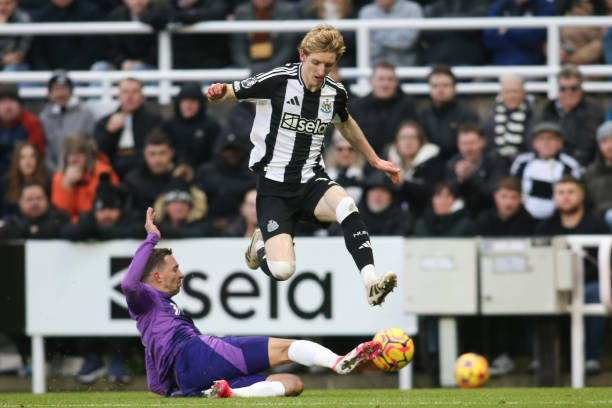 香港的球迷 香港的球迷